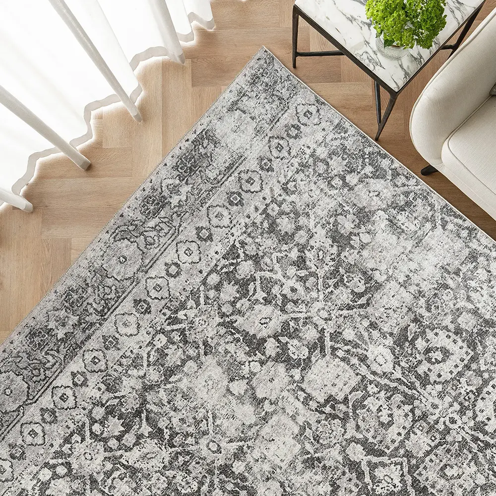 Vince Porcini - Image 4